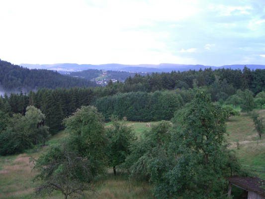 CIMG2103.JPG